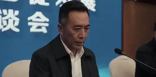 扫黑风暴王政从绿藤市委副书记到常务副省长可能经历哪些职务