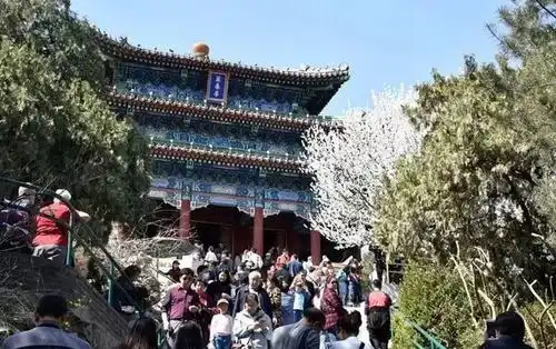 清明18条线路出炉赏花逛公园红色之旅都有啦