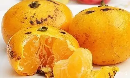 喜欢吃橘子的有福了,现在知道还不晚