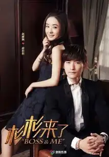 杉杉来吃2014年张翰赵丽颖主演同名电视剧搜狗百科
