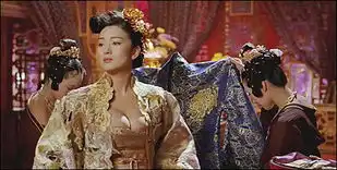 黄金甲引发丰胸热医师称帮医院做广告
