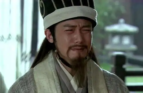 为什么诸葛亮打不赢曹魏,北伐失败在他出山前,曾有人一言道破
