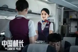 中国机长9.30万米高空,直击险情真实故事还原,见证中国奇迹

