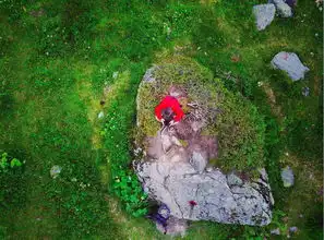纹身师大敏,荒野生存15天徒步穿越勃朗峰
