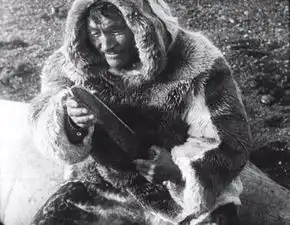 震撼揭秘极地生存,究竟是何种体验