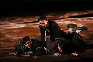 胡军哈姆雷特拉开世界巡演大幕
