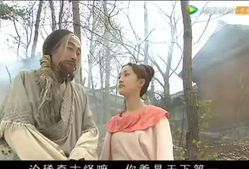 射雕英雄传洪七公教郭靖黄蓉武功,并一眼认出黄蓉为黄药师之女
