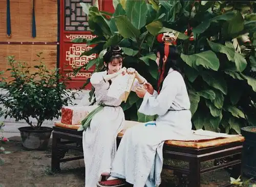 视频詹丹红楼梦里的四种爱情
