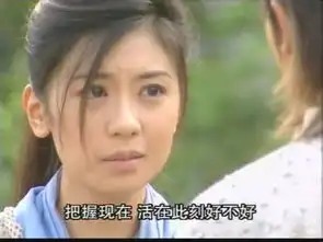 倚天屠龙记苏有朋版的赵敏百变造型