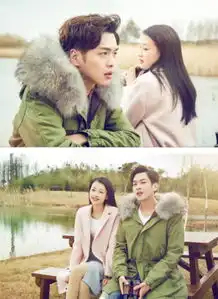 十五年等待候鸟芦苇荡唯美剧照曝光