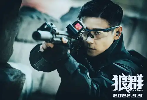 吴京关上了中国动作片的大门成龙赵文卓张晋甄子丹都惨败