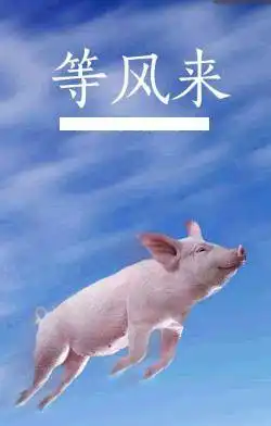 风来的时候,猪飞了机构抢跑小庄看盘2.14