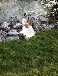 宫锁珠帘搜狗百科
