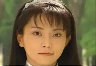 赵薇在情深深雨蒙蒙中唱的那首往事难忘原名叫什么
