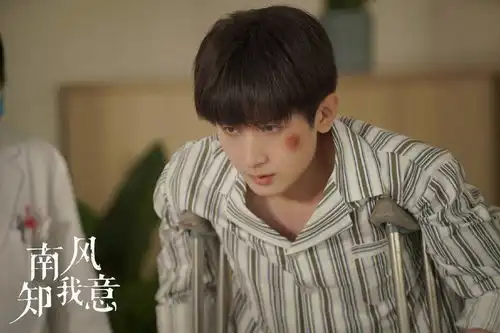 南风知我意2024年播吗成毅南风知我意会上星播出吗
