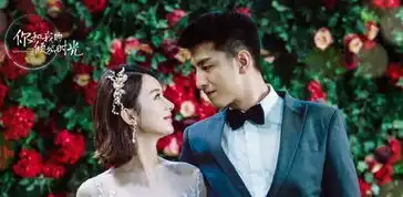 倾城时光林莫臣因户口本不见大怒,但厉致诚一招让他不再反对
