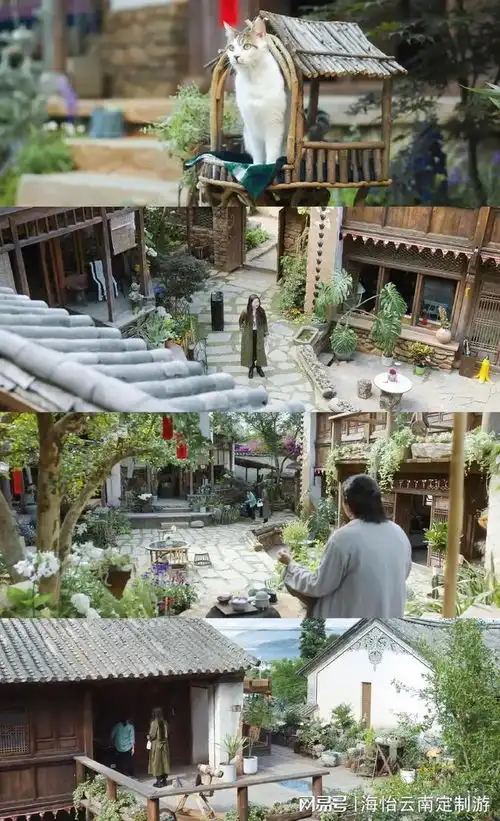 去有风的地方像许红豆这样在云南玩,大概得多少钱
