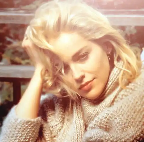 本能里莎朗斯通的造型最美