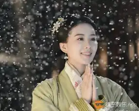 看完女医明妃传宣传照,古装的刘诗诗还是好美
