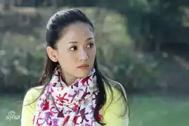 电视剧佳期如梦
