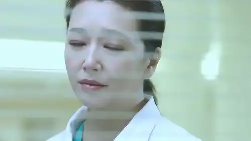 急诊科医生丈夫向她提出要求,要去看她私生女,了解些情况