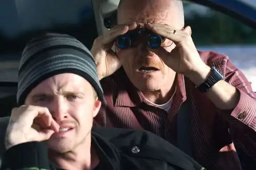 绝命毒师电影版开始制作老白小粉有望重逢
