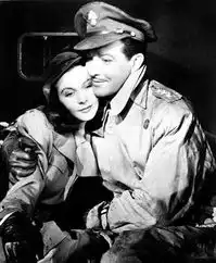 2007国际帆船赛青岛观帆游兴浓
