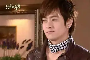 放羊的星星时隔九年男主林志颖永远的帅小伙儿
