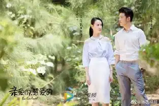 离韩商言佟年复合还有两天,他们成强助攻,接下来天天都有吻戏