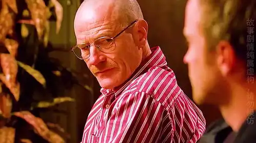 一口气看完绝命毒师第二季,化学老师最终还是踏上了不归路