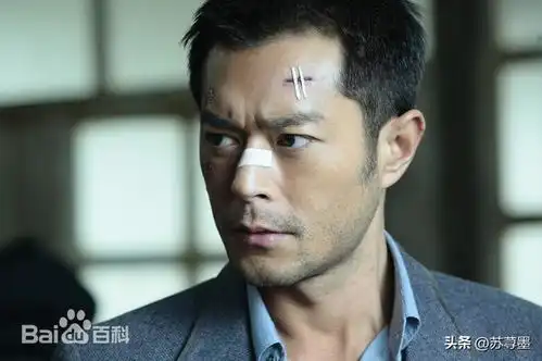 满脸科技和狠活忍了古天乐和陈浩民,看到毛宁我真的忍不住笑了