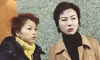 也许90后不认识她,但她还是港产美女的佼佼者袁洁莹
