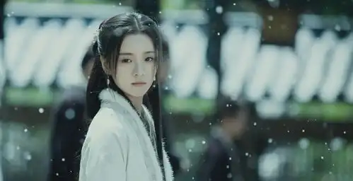 雪中悍刀行徐凤年不要轩辕家秘籍,只求护送姜泥平安
