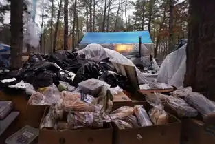 蜗居在美国繁华都市外的边缘人帐篷是豪宅