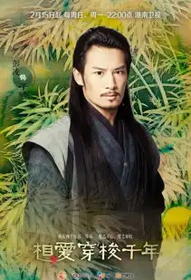相爱穿梭千年剧照
