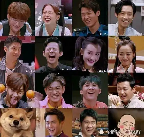 明星大侦探第六季开录,网友阵容我爱了
