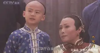 大宅门詹王爷到死不知,为何白文氏对作恶多端的白颖宇那么好