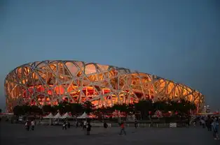 鸟巢,颐和园随拍套头,未做任何后期,只剪裁新手上路ing,练好套头很关键