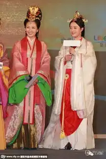 芈月传穿对了吗孙俪刘涛挂满羽毛几个意思
