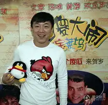 汤唯为三傻大闹宝莱坞配音文章黄渤比嘴快