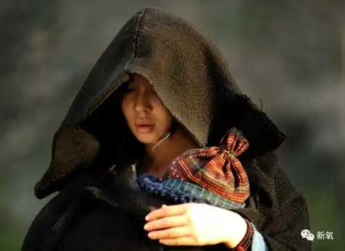 虎姐张雨绮看了都要敬畏三分的女人,果然名不虚传...