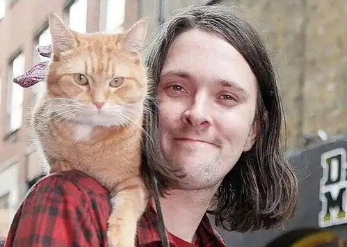 曾出过书演过电影感动过无数人的流浪猫鲍勃,离开我们回去喵星了