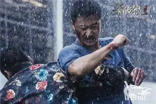 杀破狼2终极预告吴京托尼贾张晋打得爽