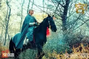 宫锁沉香陈晓赵丽颖痴情升级
