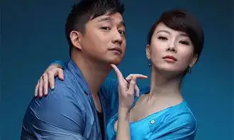 黄磊陈数主演的电视剧有哪些

