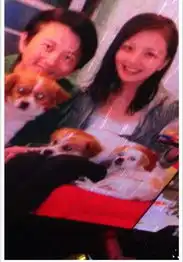 小唐僧向甄嬛丫鬟浪漫求婚闺蜜孙俪送祝福图
