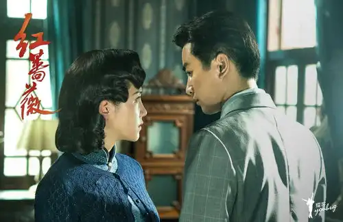 郑晓龙打造别样谍战红蔷薇成年底电视黑马
