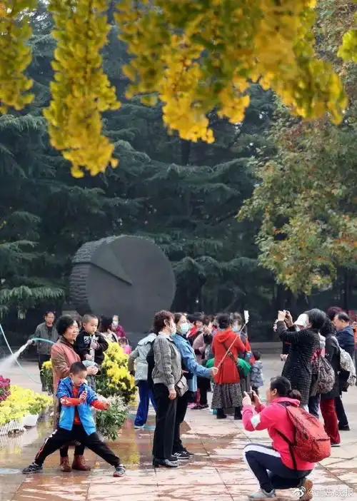 满城尽带黄金甲中山公园菊展争妍斗艳
