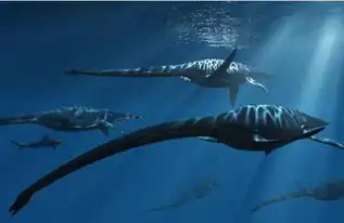 史前十六大海洋巨兽,咬合力达36吨的巨齿鲨排第四4
