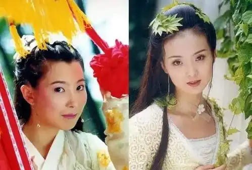 重温武林外史才懂沈浪在白飞飞墓碑上写爱妻二字有多讽刺
